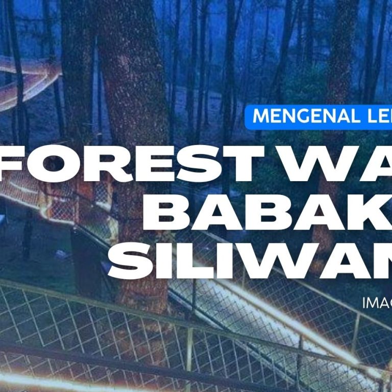 Mengetahui Lebih Dekat tentang Forest Walk Babakan Siliwangi 11