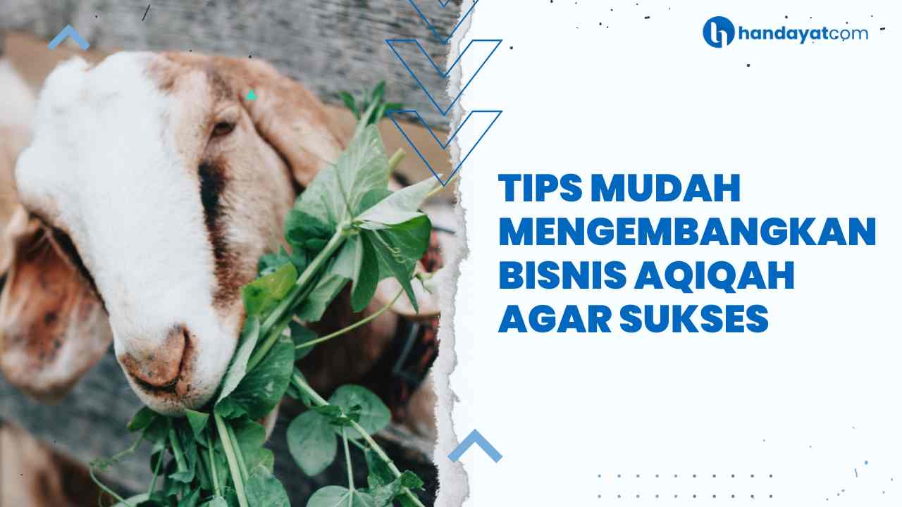 Kenali Tips Mudah Mengembangkan Bisnis Aqiqah Agar Sukses 1