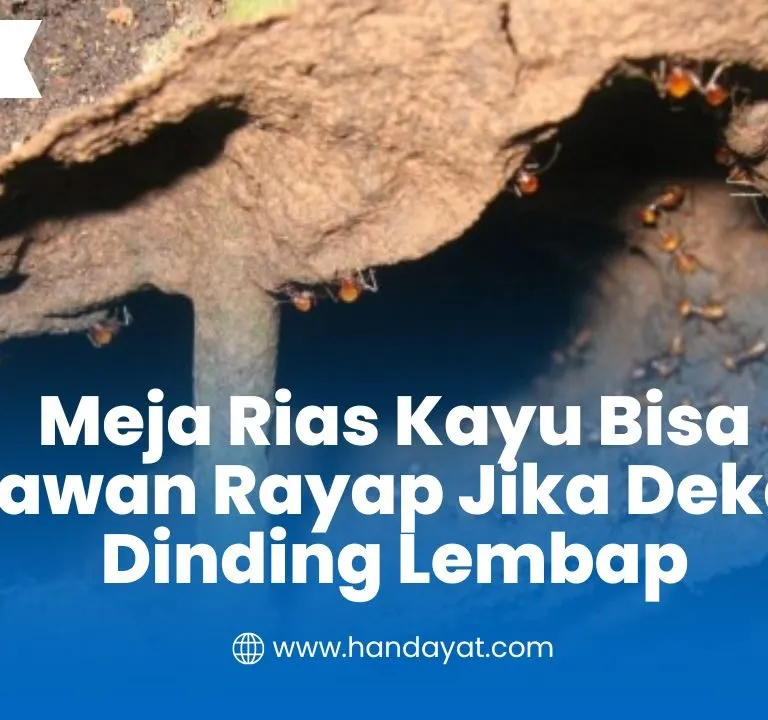 Meja Rias Kayu Bisa Rawan Rayap Jika Dekat Dinding Lembap 4